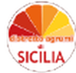 Logo Distretto Agrumi di Sicilia