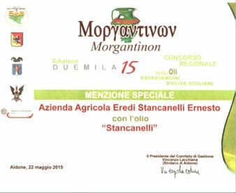 Menzione speciale Morgantinon 2015